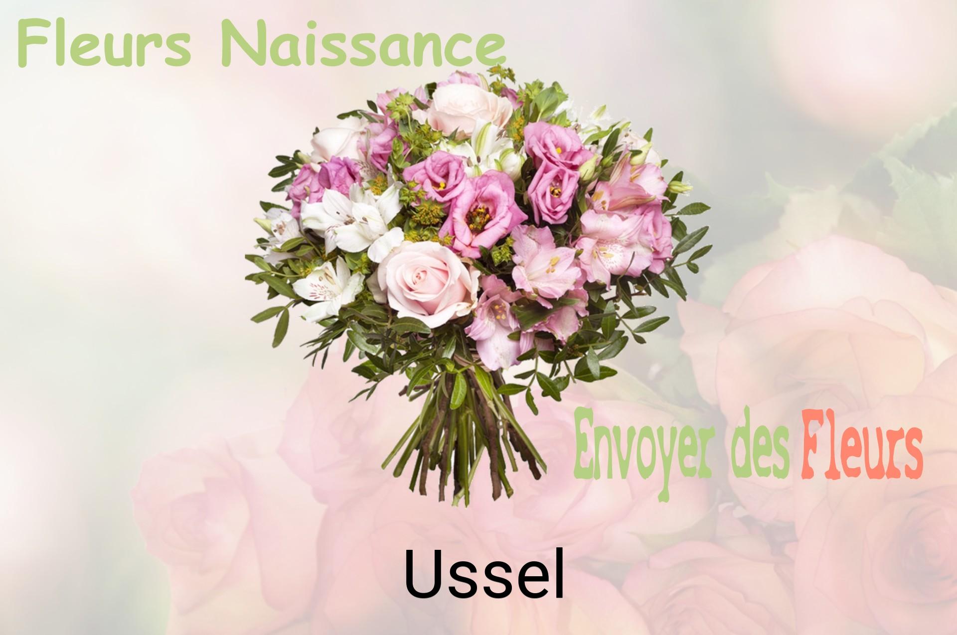 Bouquet de fleurs de naissance livré à Ussel