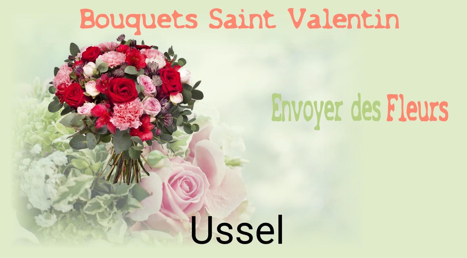 Roses de Saint-Valentin livrées à Ussel